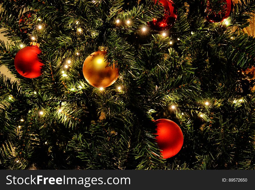 A Christmas tree with gold and red baubles.
