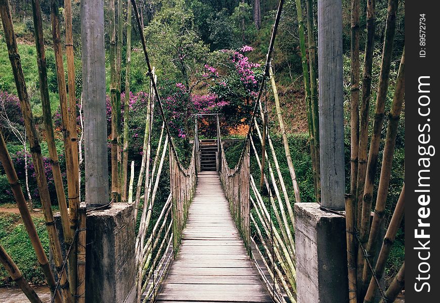 A wooden suspension bridge crossing a chasm in a jungle.