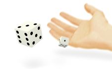 Rolling The Dice Stock Photo