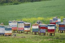 Bee Hives Royalty Free Stock Photo Bee Hives Royalty Free Stock Photo