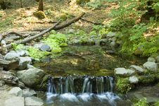 Miniature Waterfall And Pond Stock Photos