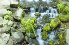 Miniature Waterfall And Pond Stock Image