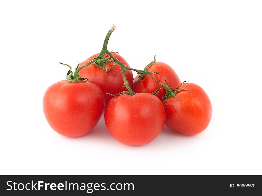 Red tomatoes on a white background