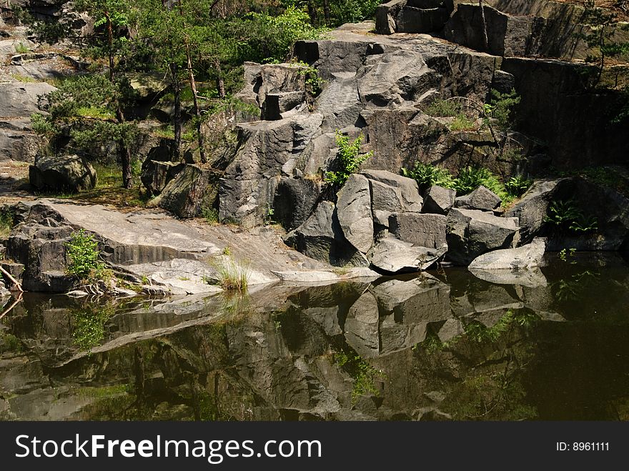 Old flooded quarry with calm water and growing trees