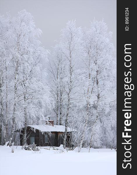 Wooden house in winter in a forest scenery, Finland