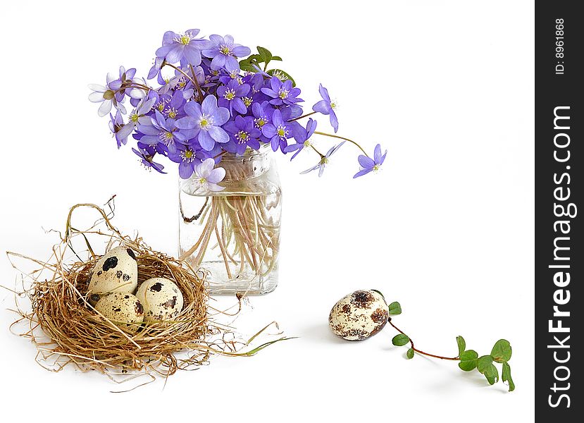 Eggs in nest with  violet