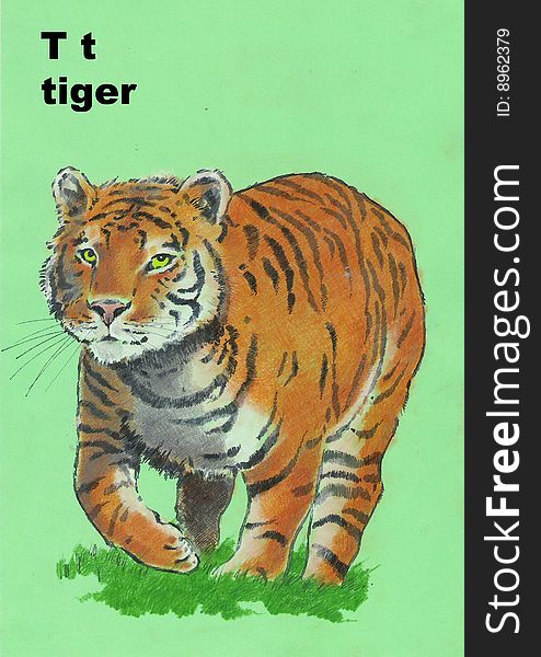 Alphebet for children- t- tiger- pastel drawing. Alphebet for children- t- tiger- pastel drawing