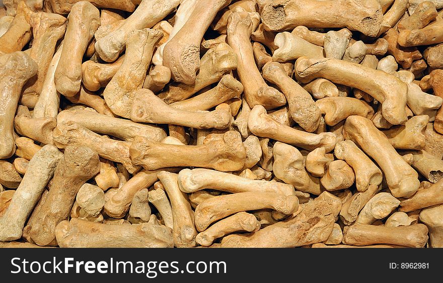 Closeup of prehistoric bones background, top view