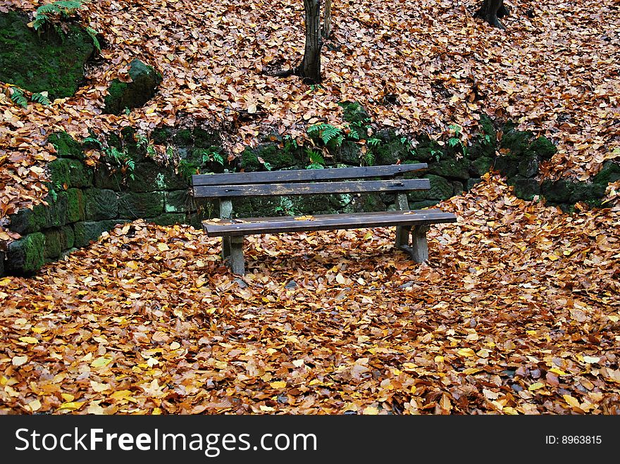 The park bench at Ceske Svycarsko national park.