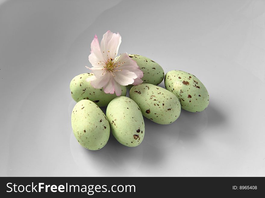 Single Cherry Blossom between Bird Eggs. Single Cherry Blossom between Bird Eggs