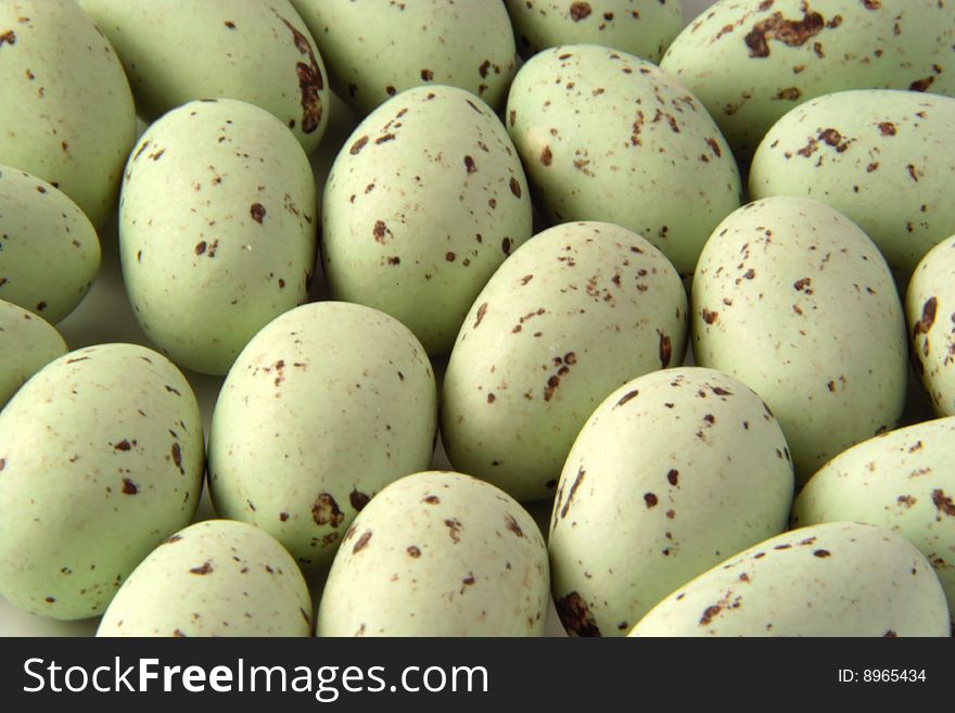 Seagull Eggs