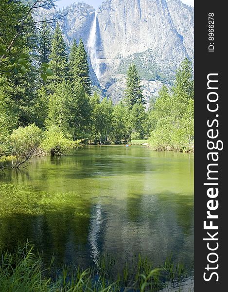 Yosemite Falls in the California Sierras reflected in the Merced river