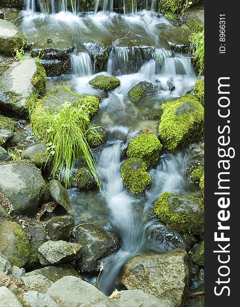 Miniature Waterfall and Pond