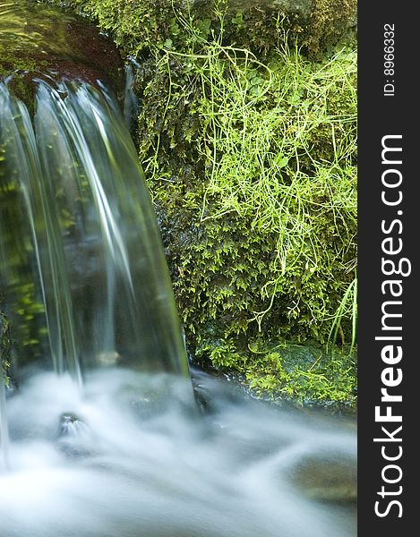 Milky water running out of small spring pond in Yosemite National Park. Milky water running out of small spring pond in Yosemite National Park