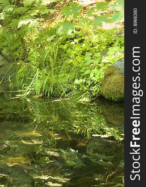 Pond at spring in the valley at Yoaemite National Park. Pond at spring in the valley at Yoaemite National Park