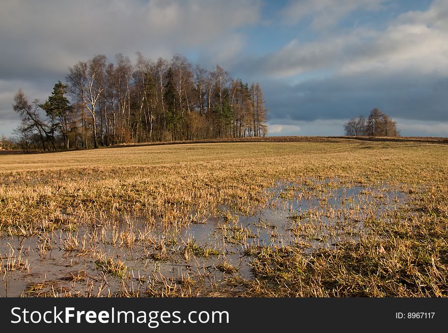 Spring landscape - meadow with water