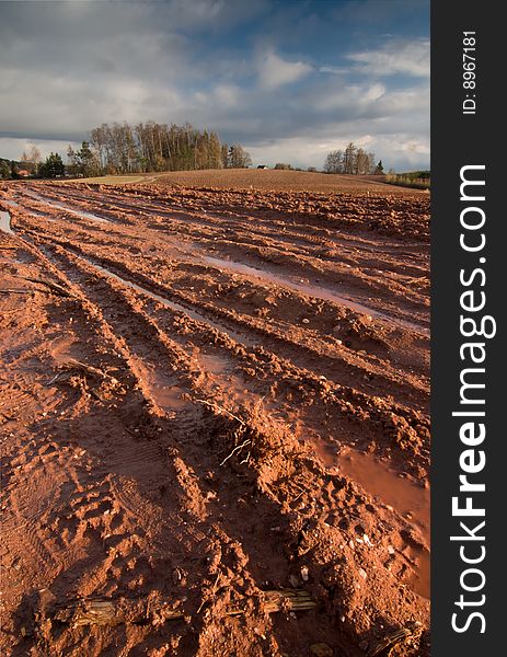 Spring landscape - field with tracks