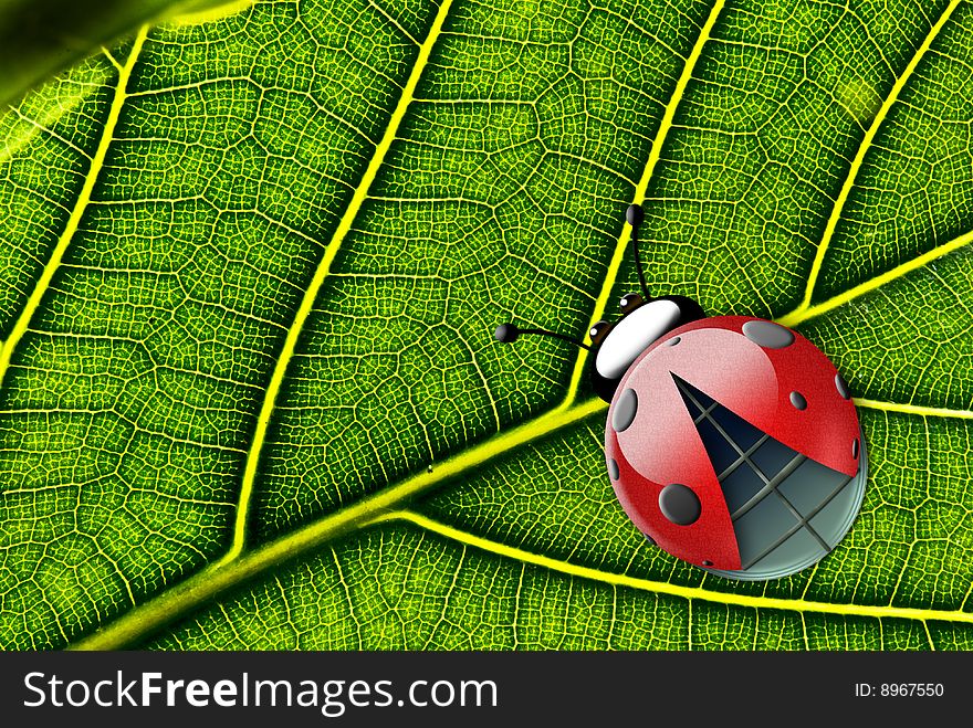 Illustrated ladybug against the green fresh leaf background
