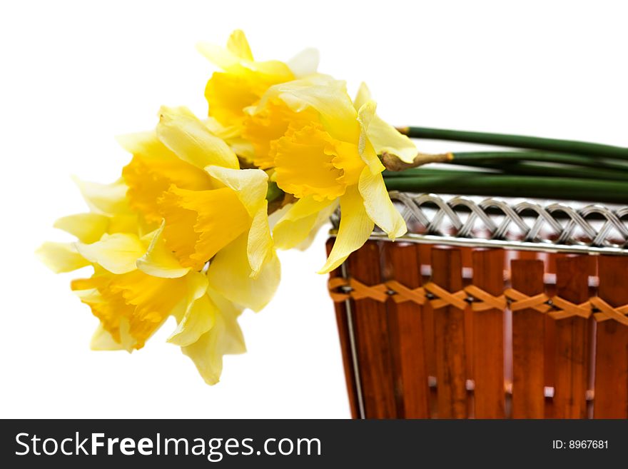 Spring flowers in a basket