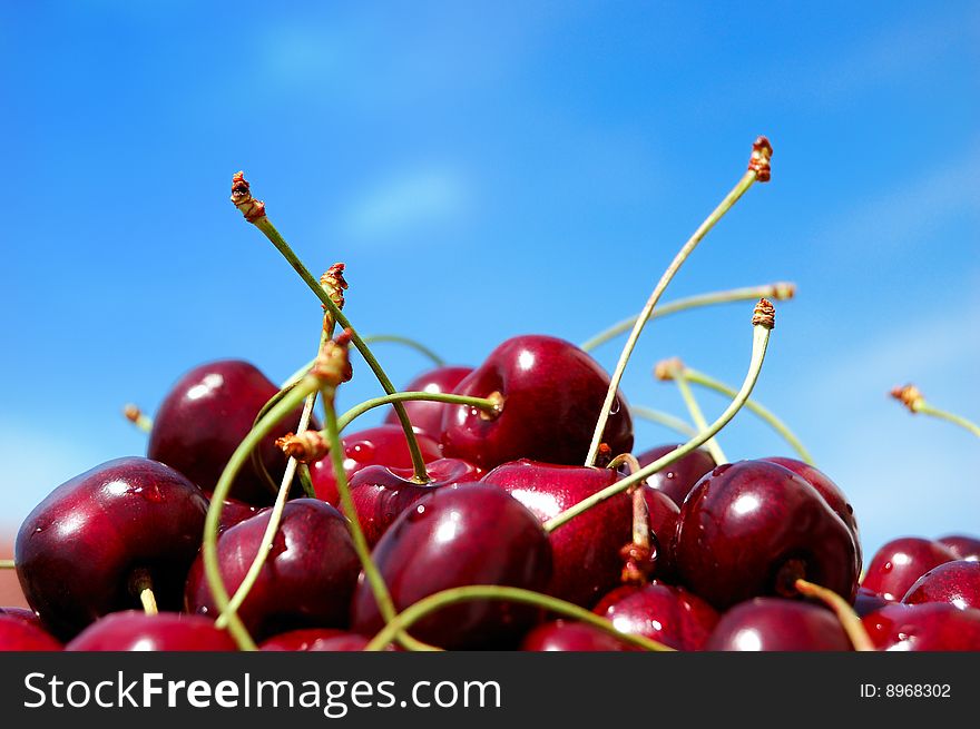 Juicy wet wild cherries against blue sky