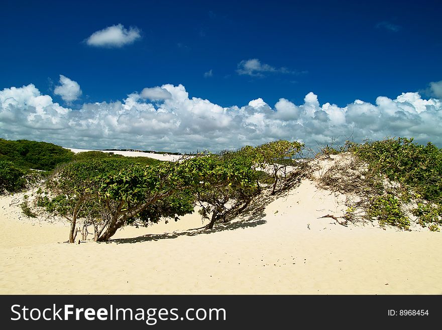 Unspoiled beautiful dunes of genipabu, Natal. brazil. Unspoiled beautiful dunes of genipabu, Natal. brazil