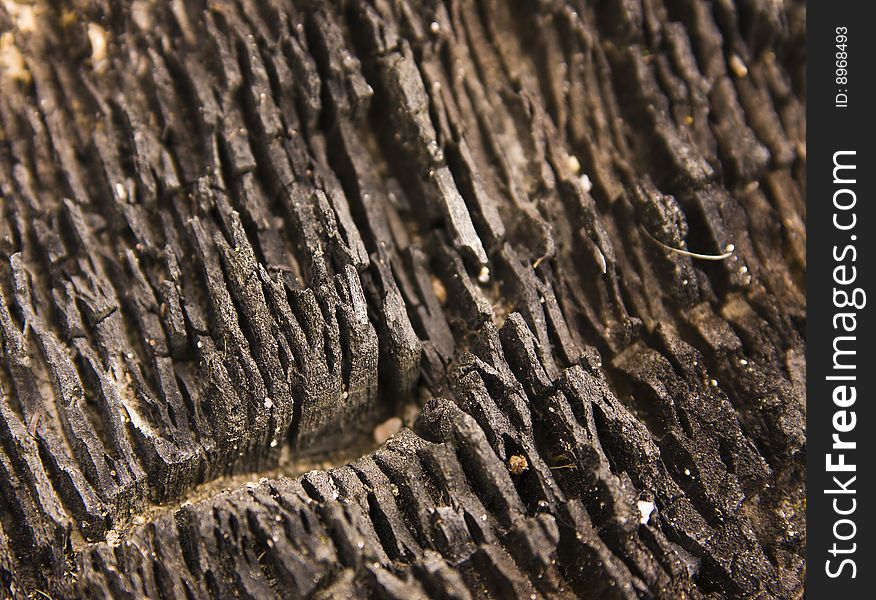 Structure of fired wood in black. Structure of fired wood in black