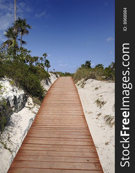 A view of wooden walkway going on tropical beach background. A view of wooden walkway going on tropical beach background