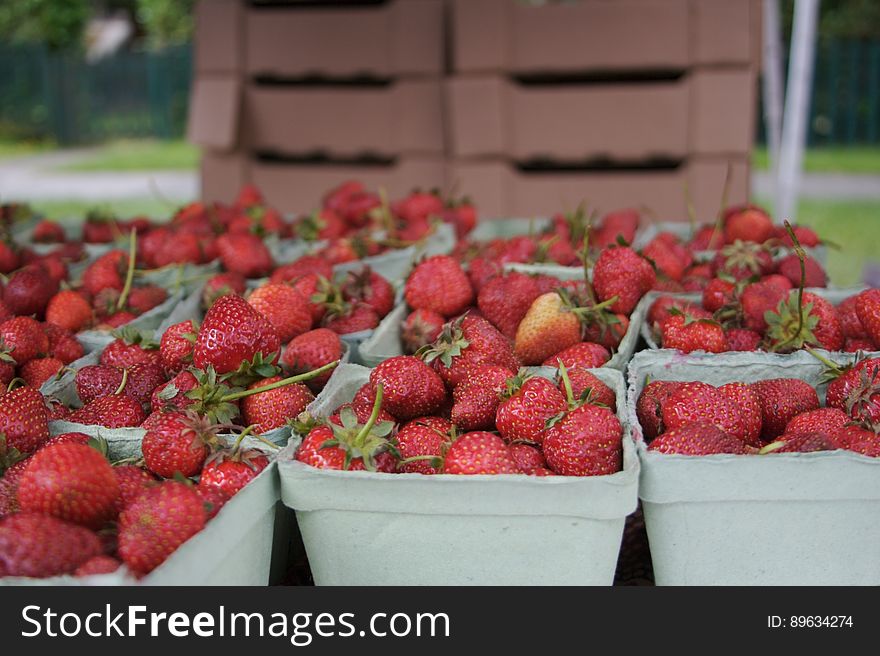 West End Farmers Market - 17Jun06 - 4