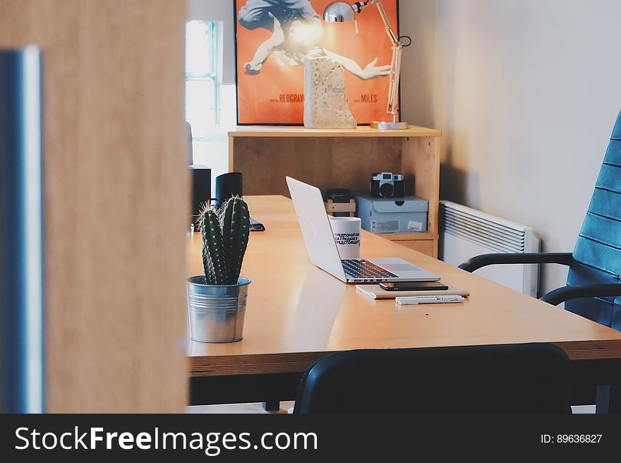 An office desk with a laptop, different office equipment, and a decorative cactus.