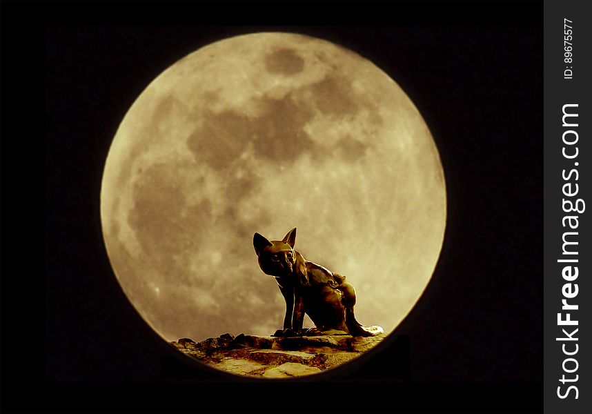 Statue of cat and rat on the rock with blurry full moon background. Statue of cat and rat on the rock with blurry full moon background.