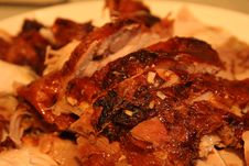 Free Thanksgiving Turkey 2005 9Oct05 - 6 Royalty Free Stock Images - 89690339