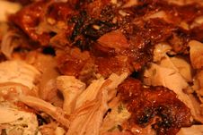 Free Thanksgiving Turkey 2005 9Oct05 - 7 Stock Photos - 89690363