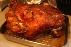 Free Thanksgiving Turkey 2005 9Oct05 - 1 Royalty Free Stock Photos - 89690468