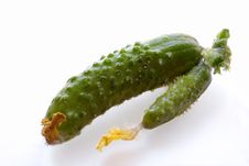 Cucumbers Royalty Free Stock Photo