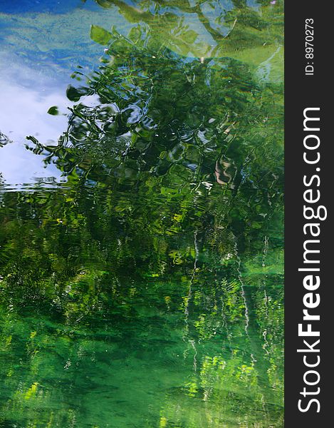 Reflections of tropical vegetation over water surface. Reflections of tropical vegetation over water surface