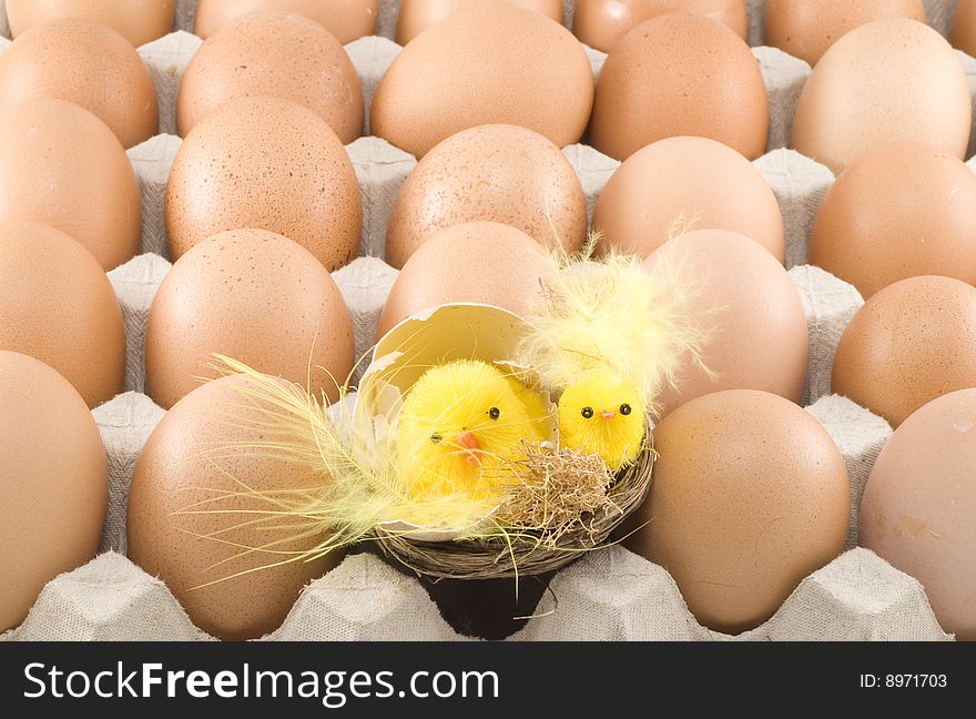 Easter chickens hatching among a lot of brown eggs