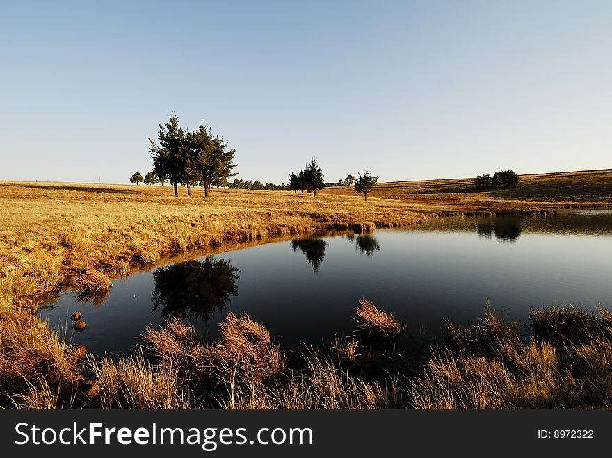 Dam Reflections