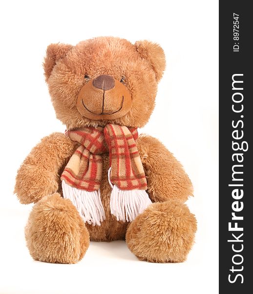 Cute teddybear