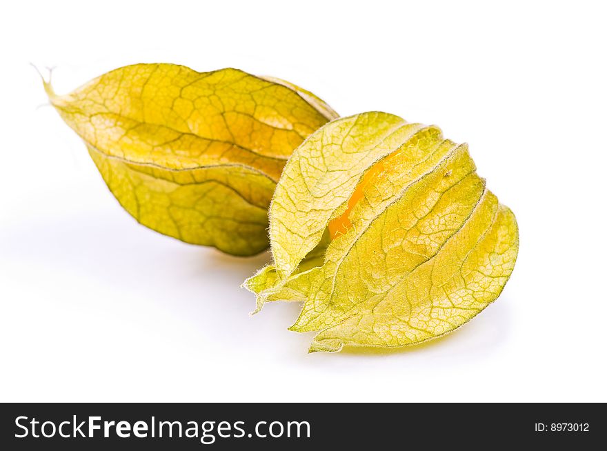 Physalis on the white background