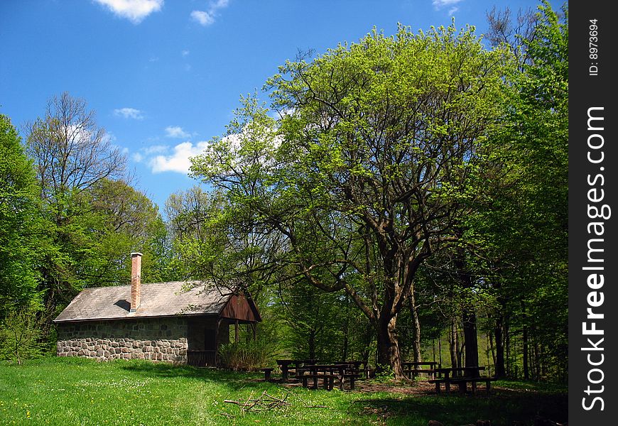 Mountain hut in forest