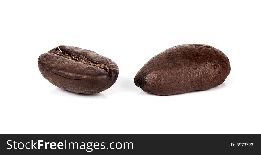 Coffee Beans Spotlight on a white background. Coffee Beans Spotlight on a white background