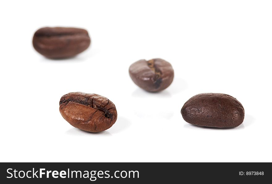 Coffee Beans Spotlight on a white background. Coffee Beans Spotlight on a white background