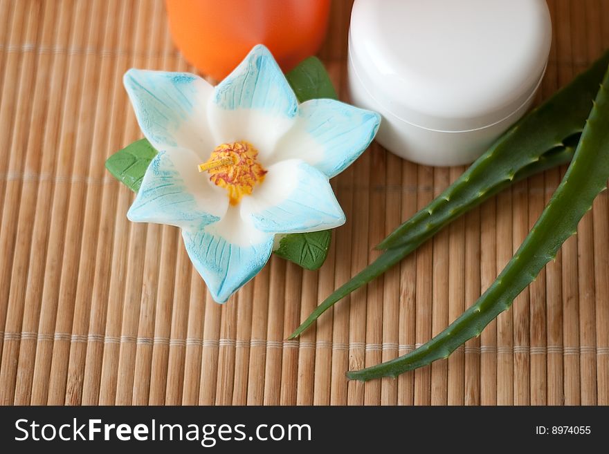 Bath still life: shampoo, a jar of cream and aloe twigs against the backdrop of bamboo mats.