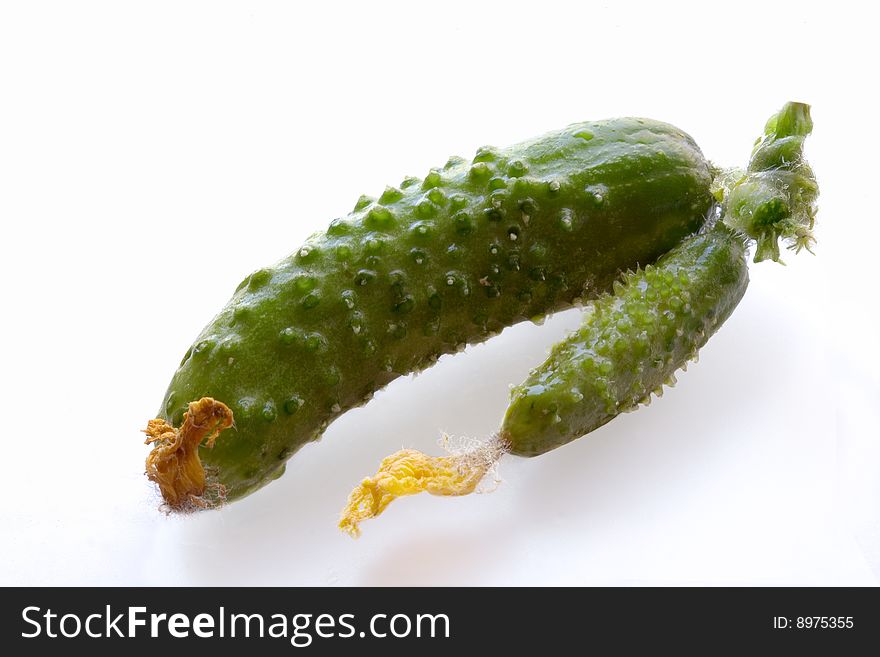 Cucumbers on a white background