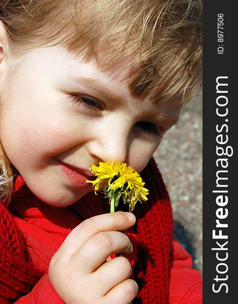 Little girl smelling a flower spring