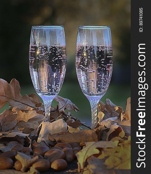 Two glasses of champagne in dry oak leaves. Two glasses of champagne in dry oak leaves.