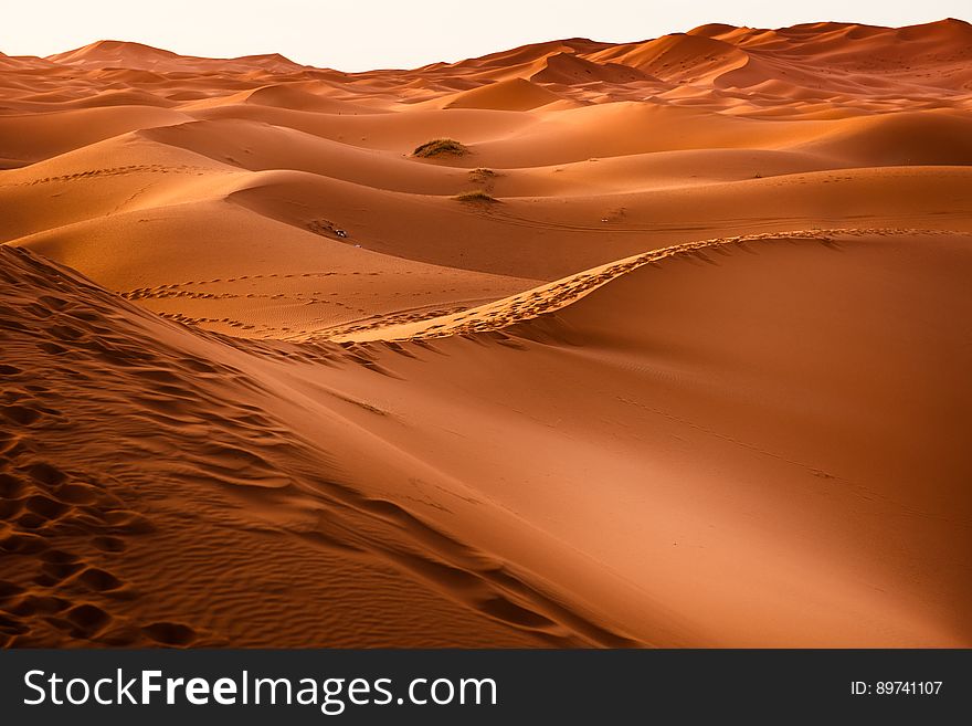 Golden sand dunes in Morocco on sunny day. Golden sand dunes in Morocco on sunny day.