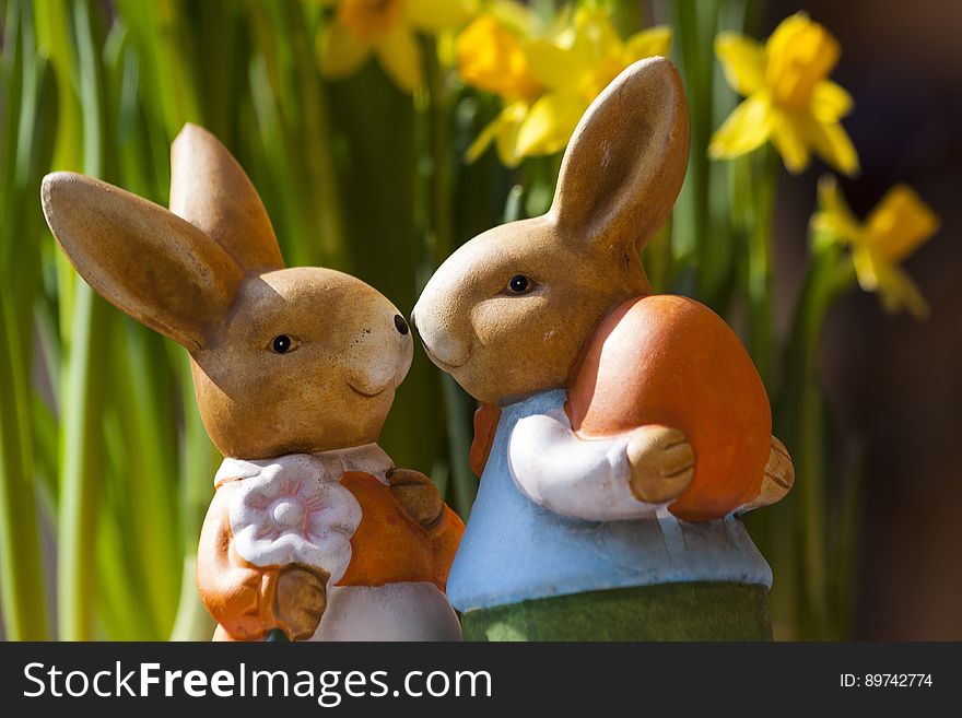 2 Brown Rabbits Smiling At Each Other