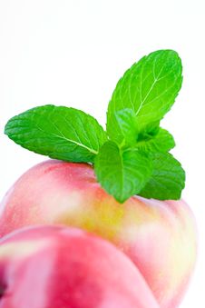 Mint Leafs Stock Images Mint Leafs Stock Images