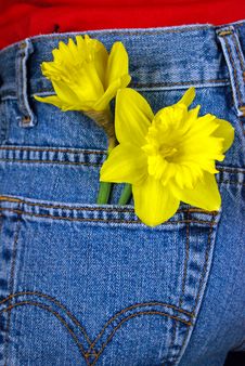Spring In My Pocket Stock Photos Spring In My Pocket Stock Photos